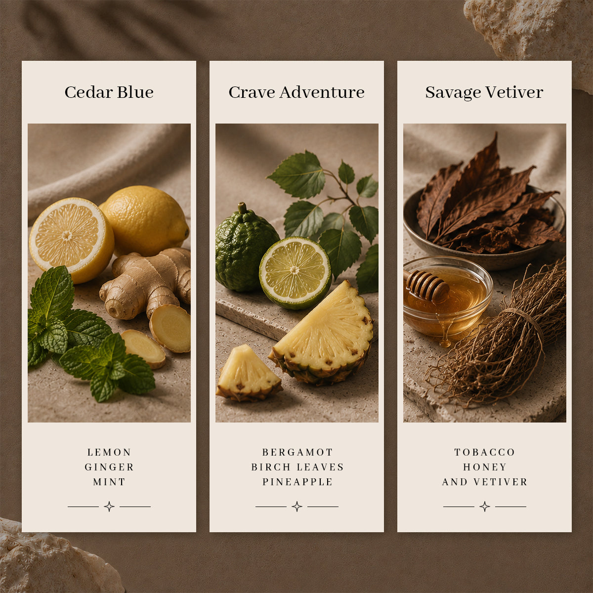Cedar Blue · Crave Adventure · Savage Vetiver GIFT BOX