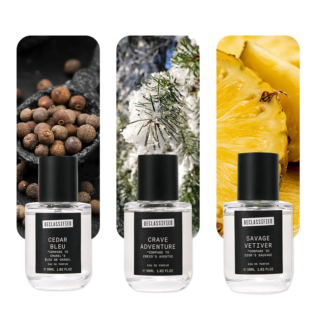 Cedar Blue · Crave Adventure · Savage Vetiver GIFT BOX