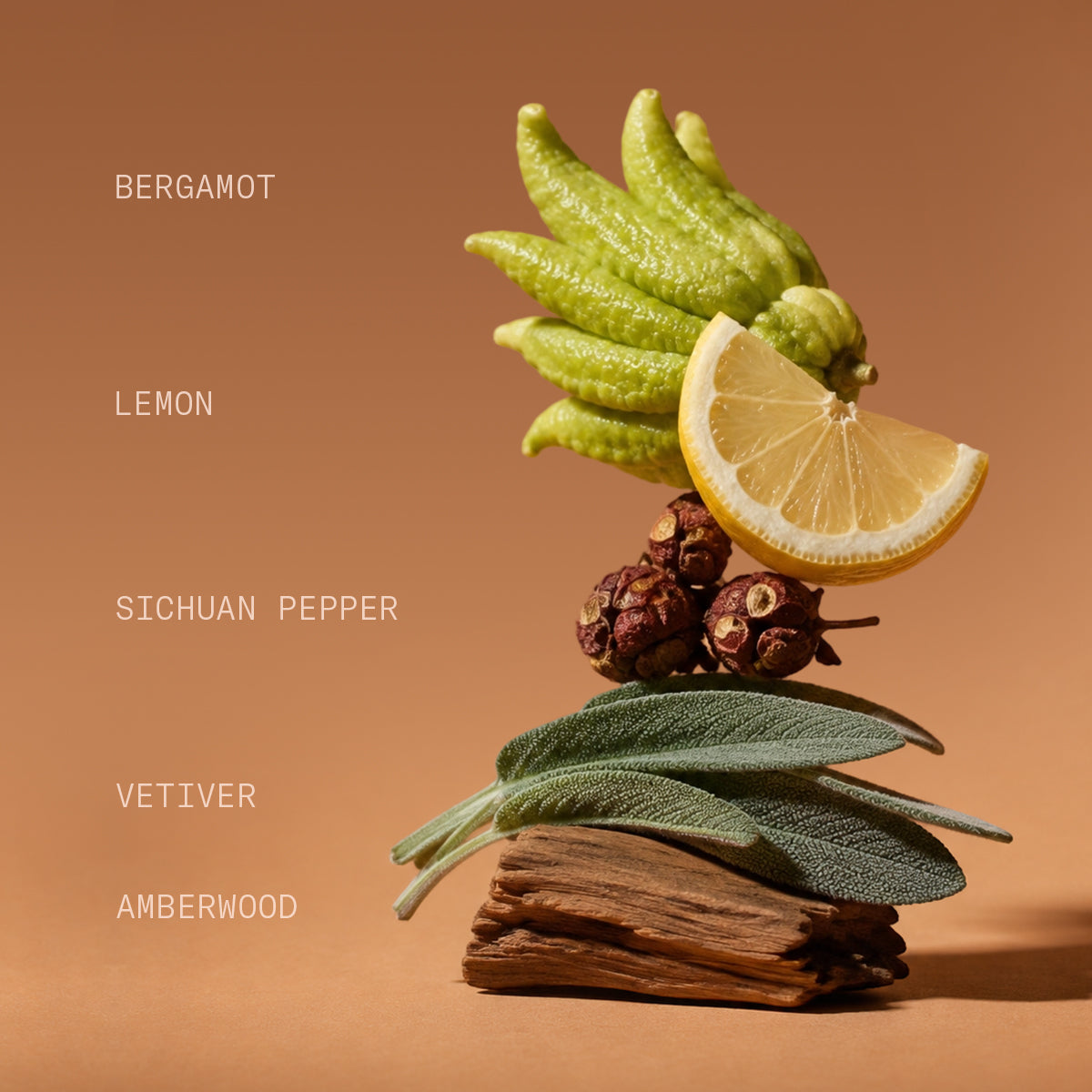 Vetiver Absolute Eau de Parfum 3.4oz / 100ml